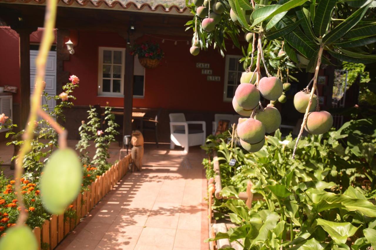 Holiday House Tia Lila San Sebastián de la Gomera المظهر الخارجي الصورة