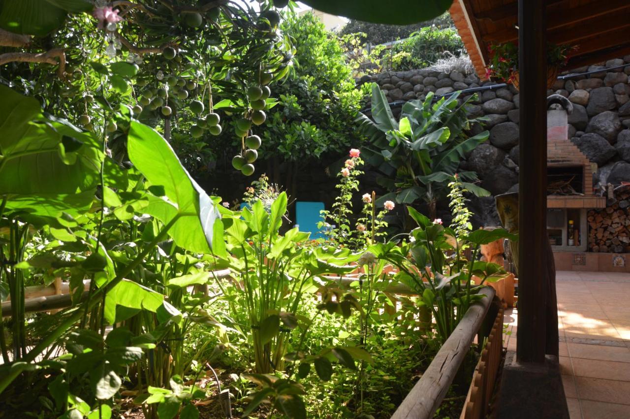 Holiday House Tia Lila San Sebastián de la Gomera المظهر الخارجي الصورة