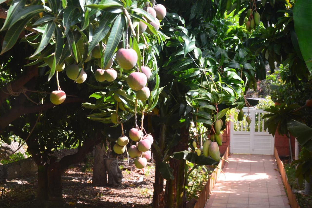 Holiday House Tia Lila San Sebastián de la Gomera المظهر الخارجي الصورة